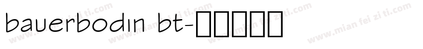 bauerbodin bt字体转换